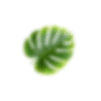 Plant-based formula icon