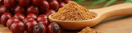 Saw palmetto berries and extract